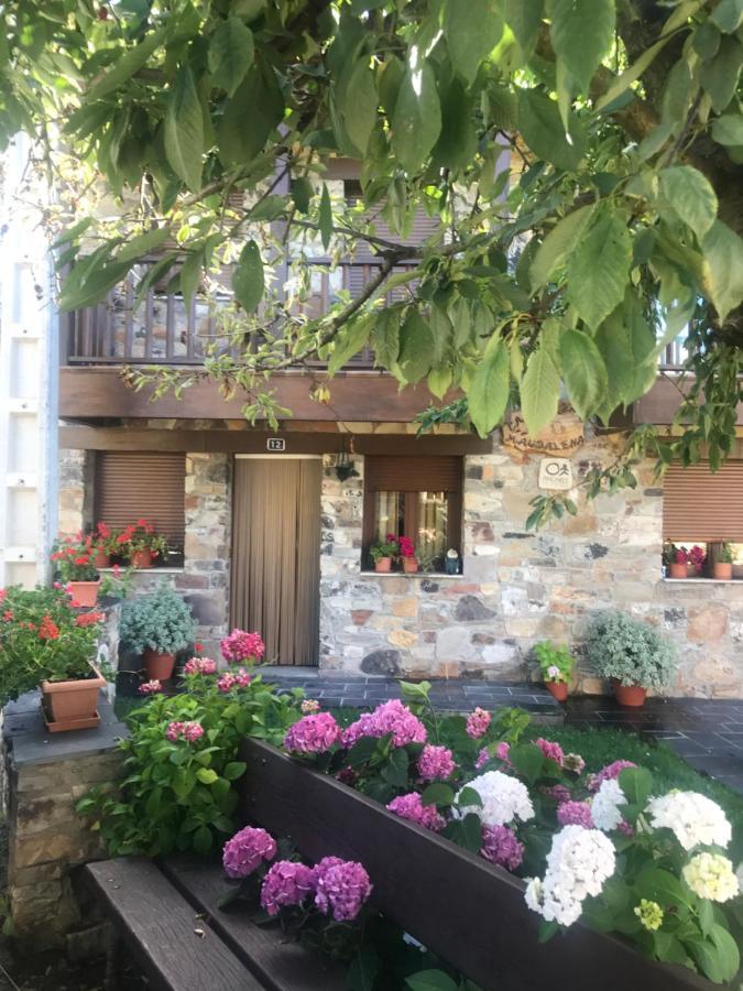 Casa Rural Magdalena Vila Espinareda de Vega Exterior foto