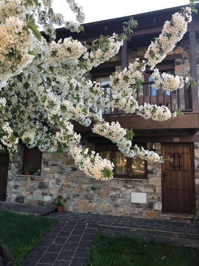 Casa Rural Magdalena Vila Espinareda de Vega Exterior foto
